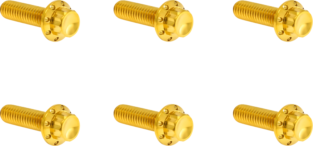 Arlen Ness Transmission Top Cover Titanium 12-Point Bolt Kit