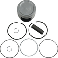 Wsm Piston Kit