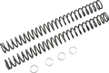 Race Tech Fork Springs — 22.40 lb/in