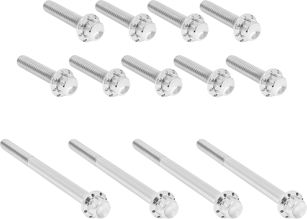 Arlen Ness Outer Primary Cover Titanium 12-Point Bolt Kit