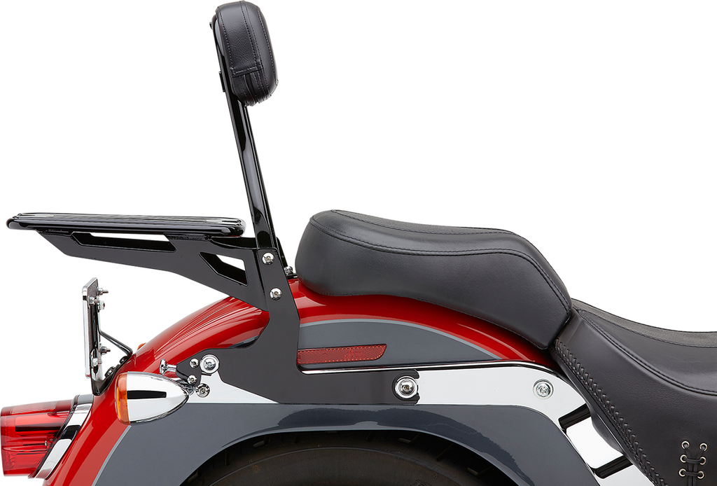 Cobra Detachable Backrest Kit