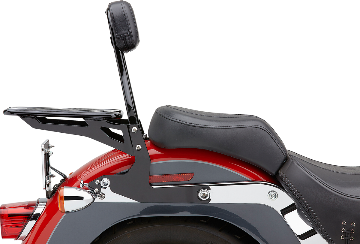 Cobra Detachable Backrest Kit