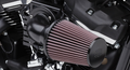 Cobra Cone Air Intake
