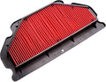 Hiflofiltro Air Filter HFA2605 for Kawasaki ZX600 Ninja ZX-6RR / ZX636 Ninja ZX-6R 2003-2004