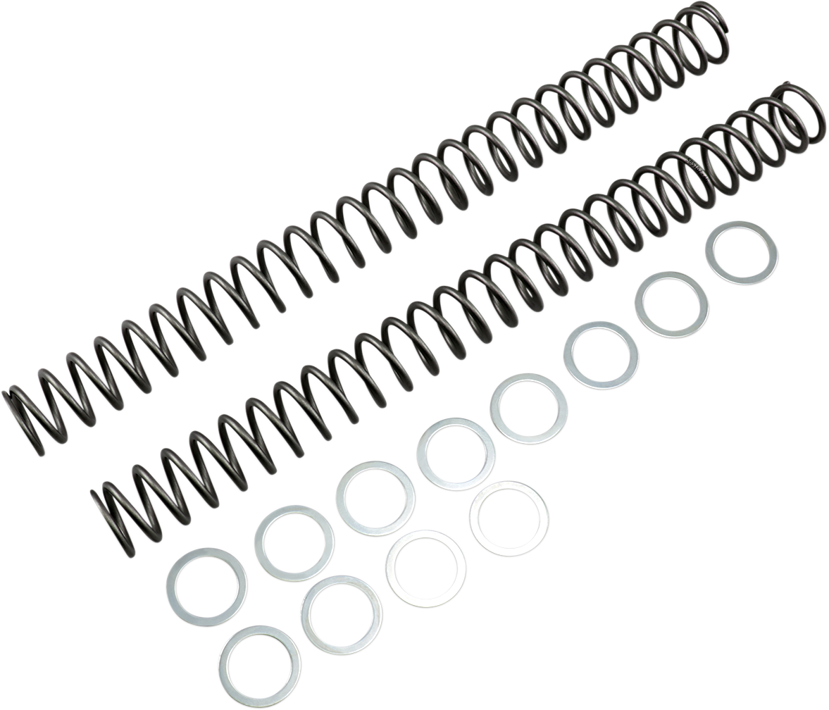 Race Tech Fork Springs — 25.80 lb/in