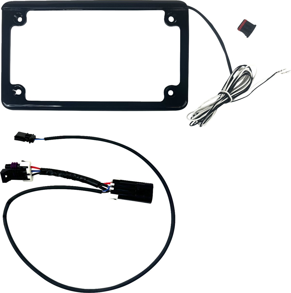 Custom Dynamics License Plate Frame with Tag Illumination