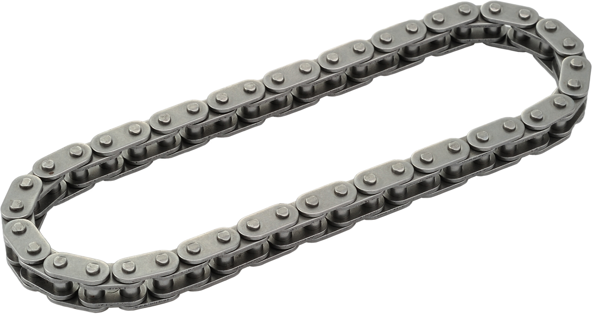 Harddrive Primary Cam Chain TC 96" M8 Outer OEM 25675-06 87124