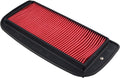 Hiflofiltro Air Filter HFA4916 for Yamaha YZF-R1 / YZF600R
