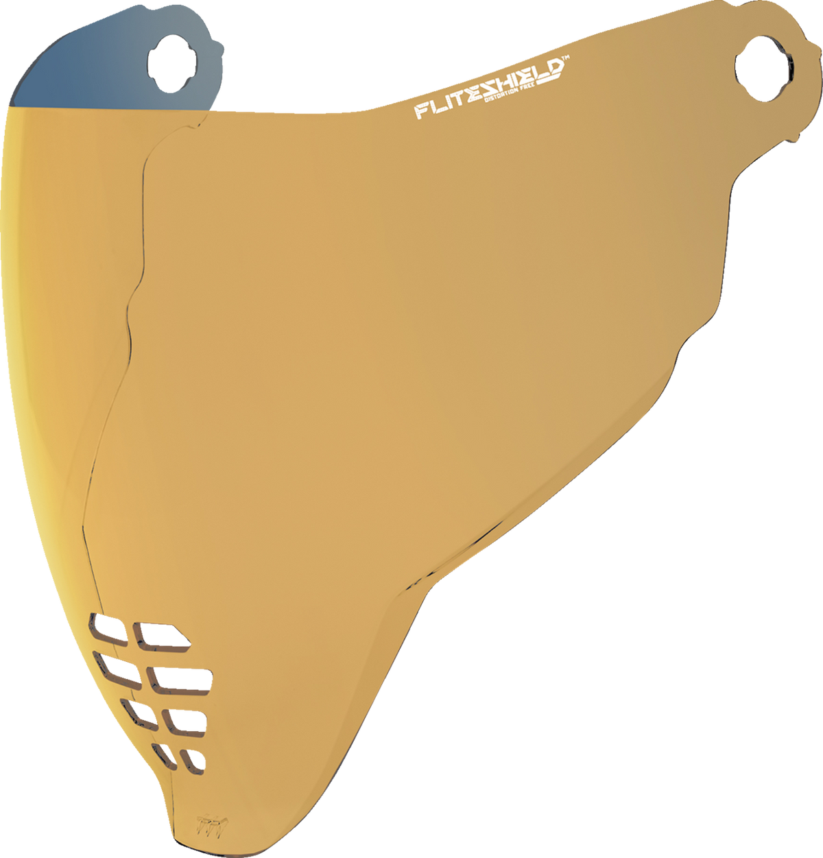 Icon FliteShield™ 22.06 Shield