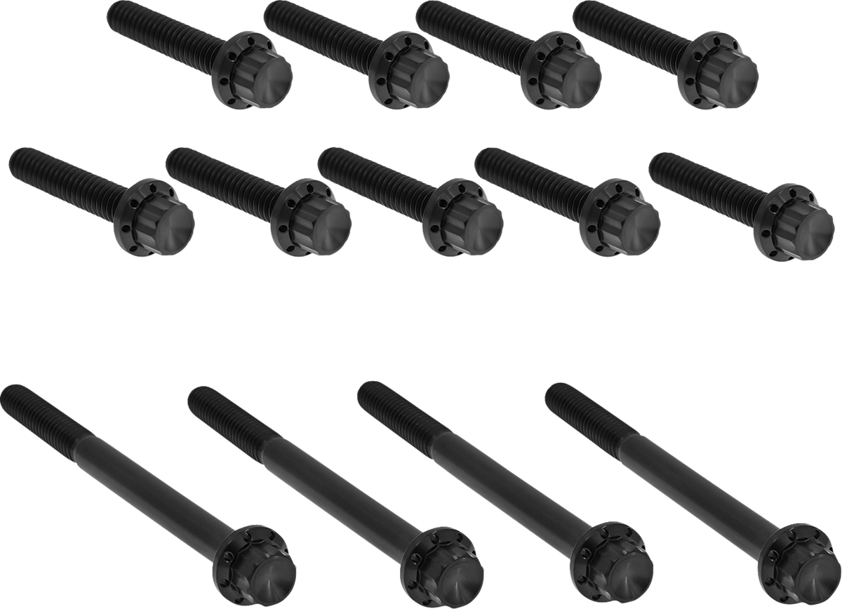 Arlen Ness Outer Primary Cover Titanium 12-Point Bolt Kit