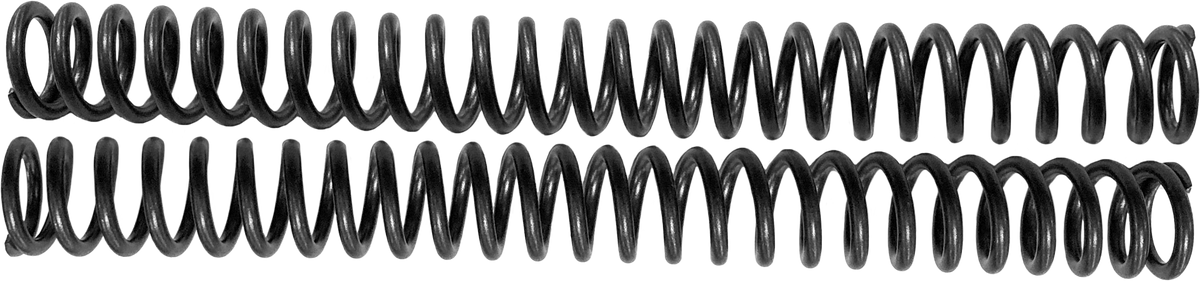 Harddrive Scepter Option Spring STD 39MM R3050076