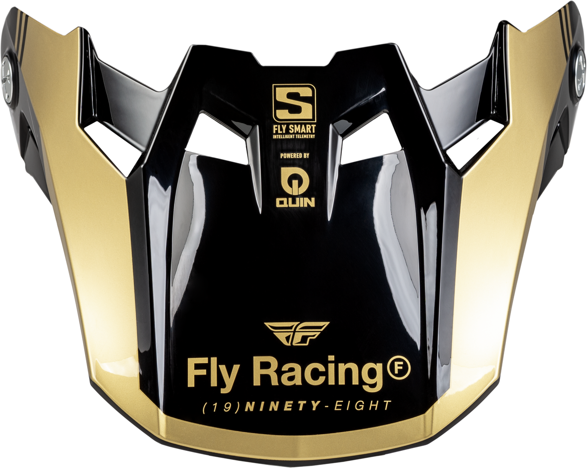 FLY Racing Formula S Carbon Legacy Visor (2024)