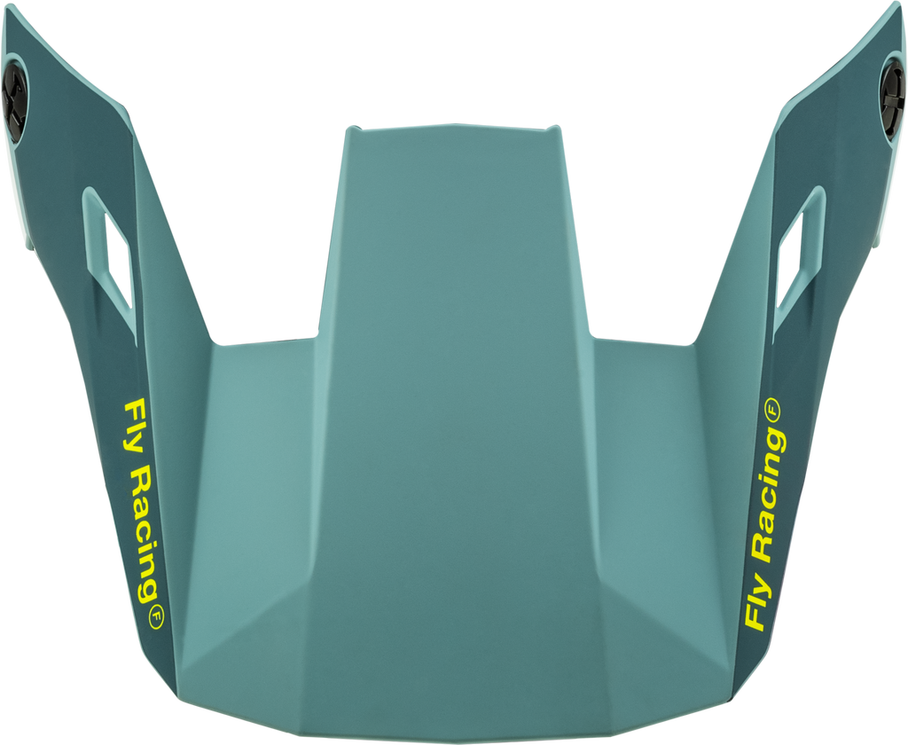 FLY Racing Youth Rayce Helmet Visor (2024)