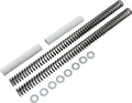 Race Tech Fork Springs — 50.40 lb/in