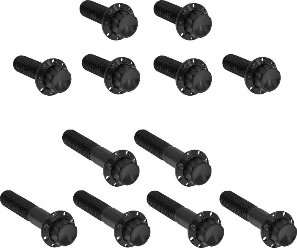 Arlen Ness Rocker Box 12-Point Titanium Bolt Kit
