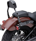 Cobra Detachable Backrest Kit