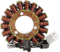 Rick's Motorsport Electric OE Style Stator