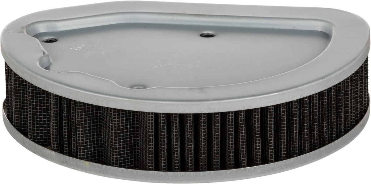 Harddrive Performance Air Filter Repl OEM 29400045 TJ-A-134 for Harley-Davidson FLHR Road King / FLHRC Road King Classic & More
