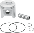 Wsm Piston Kit