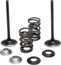 Moose Offroad Valve and Spring Kit