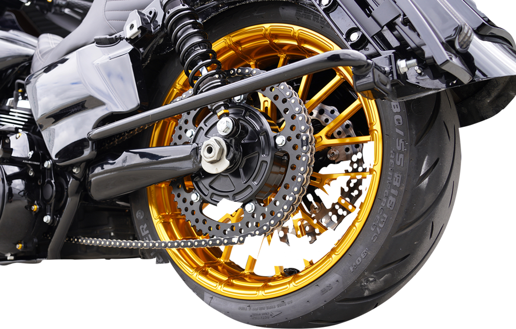 Arlen Ness Chain Drive Conversion Kit