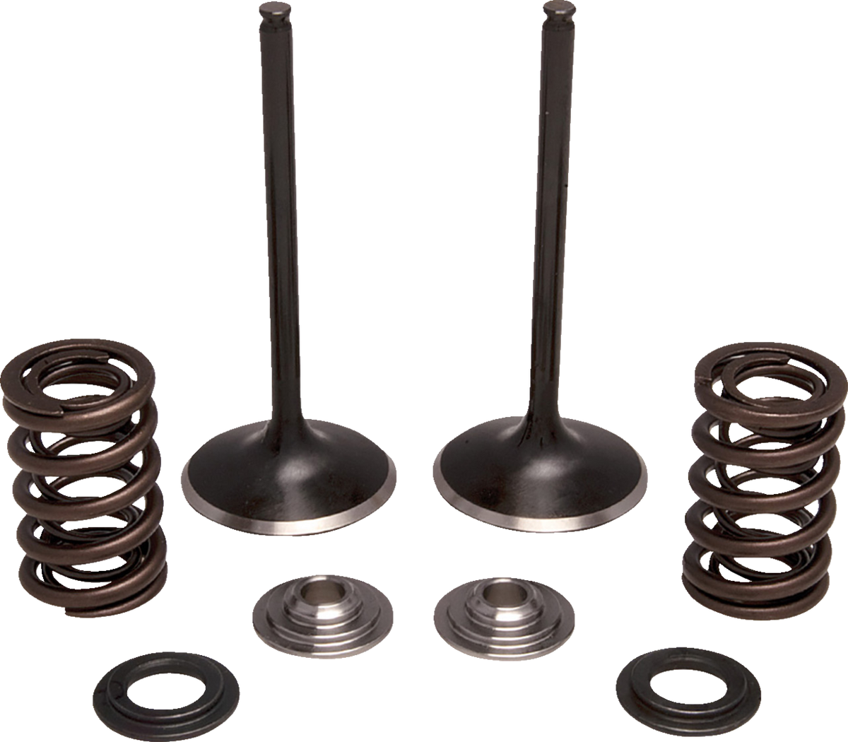Moose Offroad Valve and Spring Kit