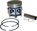 Wsm Cast Series Pistons