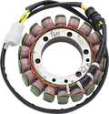 Rick's Motorsport Electric OEM Style Stator