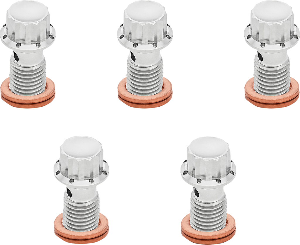 Arlen Ness 12-Point Titanium Banjo Bolts