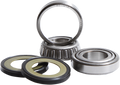 Pivot Works Steering Stem Bearing Kit