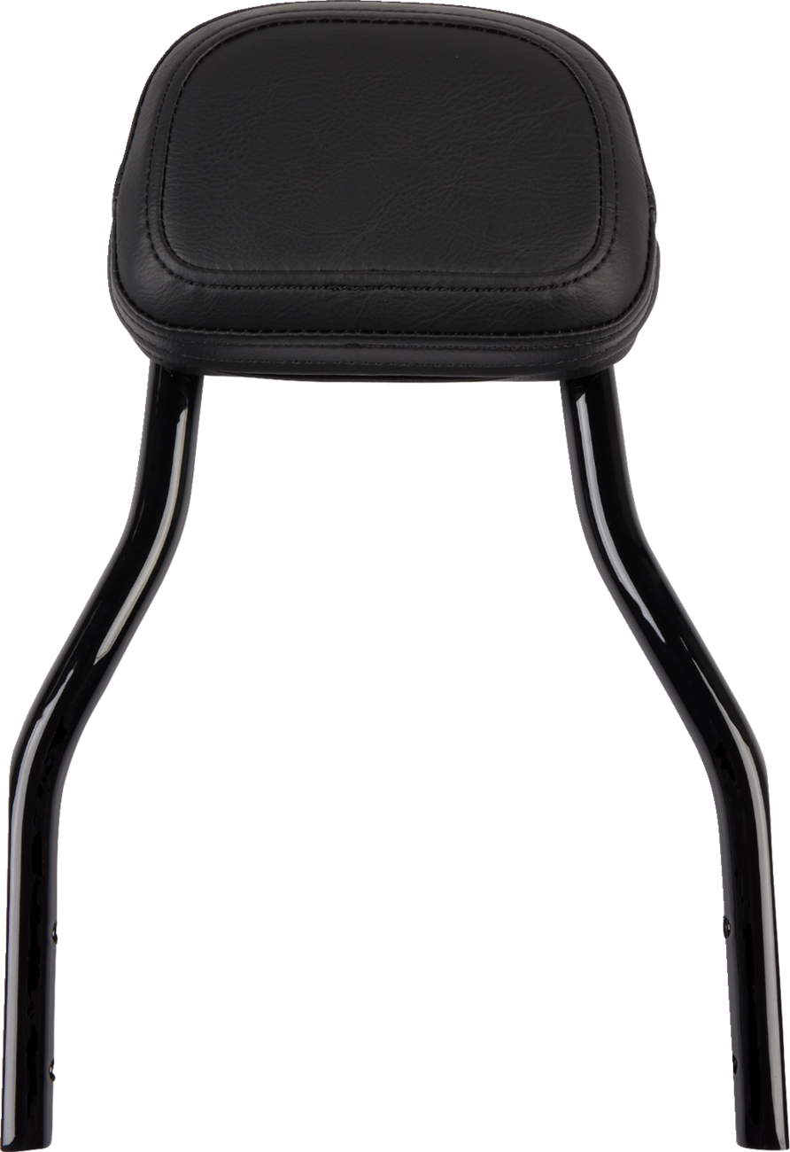 Cobra Detachable Backrest Kit