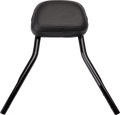 Cobra Detachable Backrest Kit