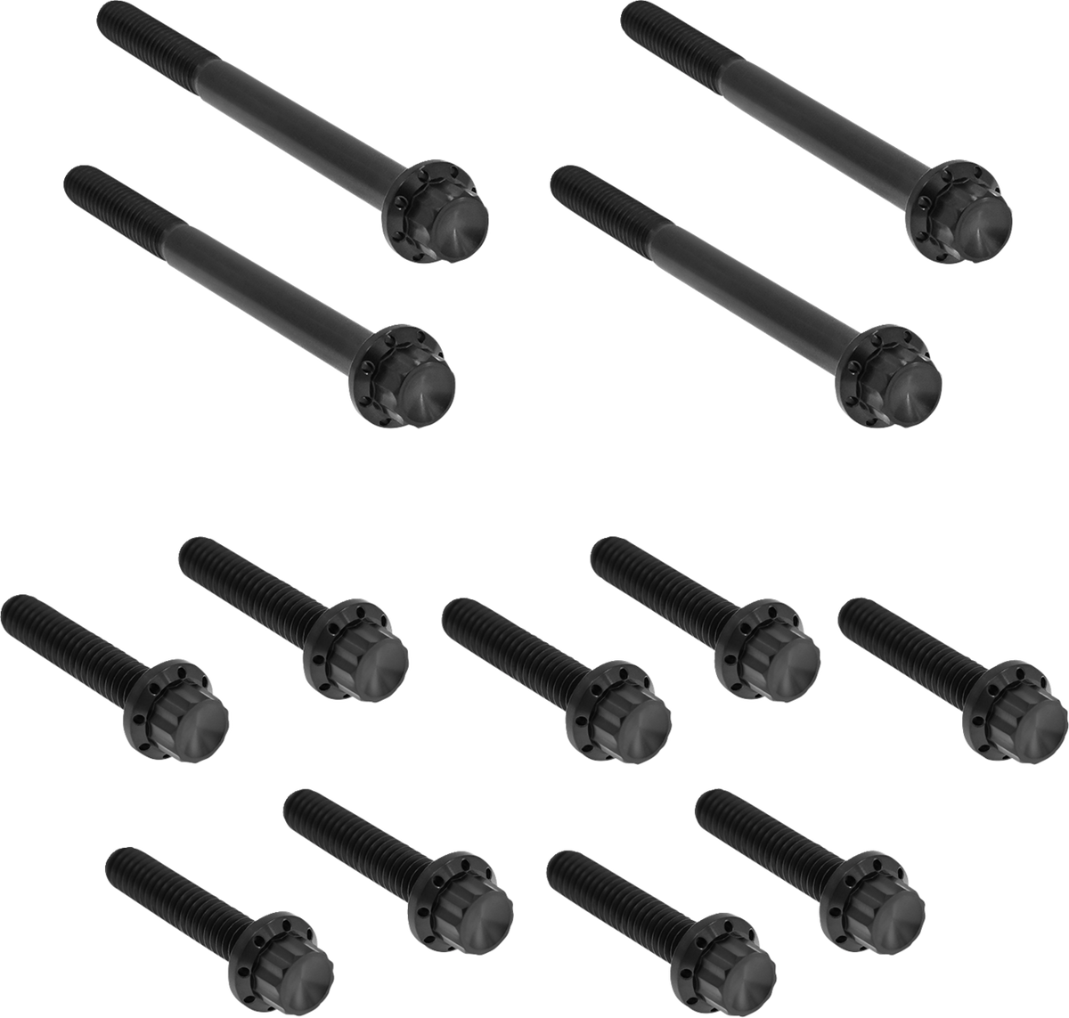Arlen Ness Outer Primary Cover Titanium 12-Point Bolt Kit