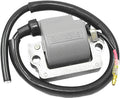 SP1 Coil External 01-143-16 for Yamaha YFB250FW Timberwolf 4WD [SRA] / YFM200DX Moto-4 & More