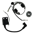 Rm Stator Kit Stator/Rotor/Ignition Rotor Flywheel+ignition Coil RMS900-107608 for GasGas / Husqvarna / KTM