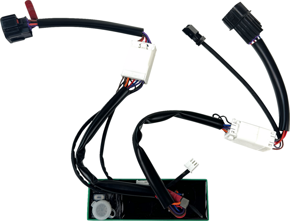 Custom Dynamics SMART Triple Play® Module