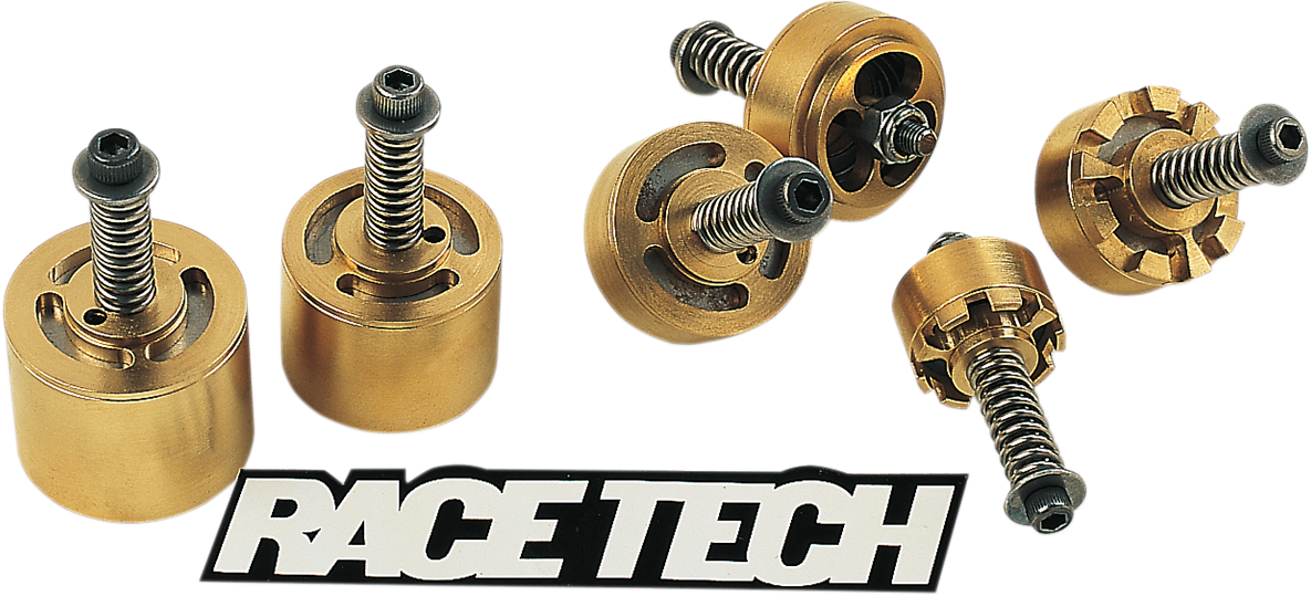 Race Tech Gold Valve Fork Kit