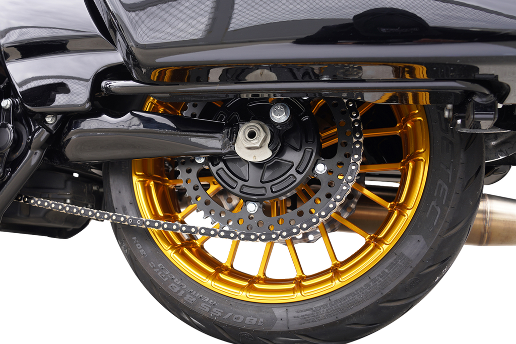 Arlen Ness Chain Drive Conversion Kit