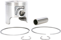 Wsm Piston Kit
