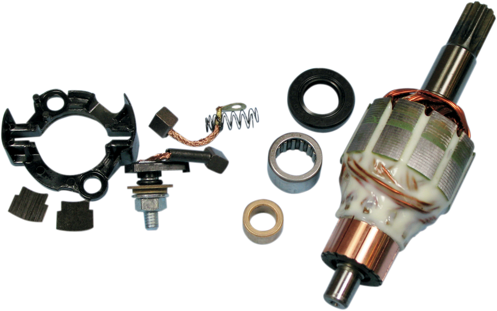 Rick's Motorsport Electric Starter Rebuild Kit