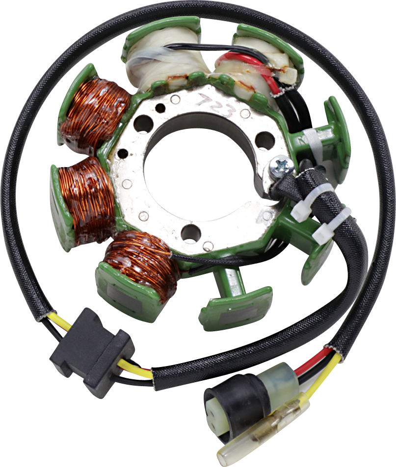 Rick's Motorsport Electric OEM Style Stator
