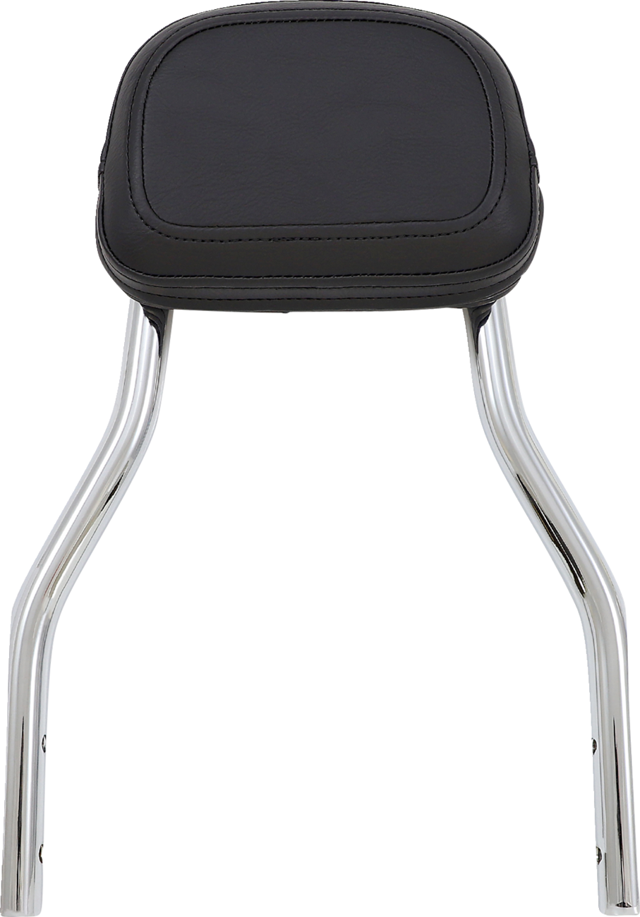 Cobra Detachable Backrest Kit