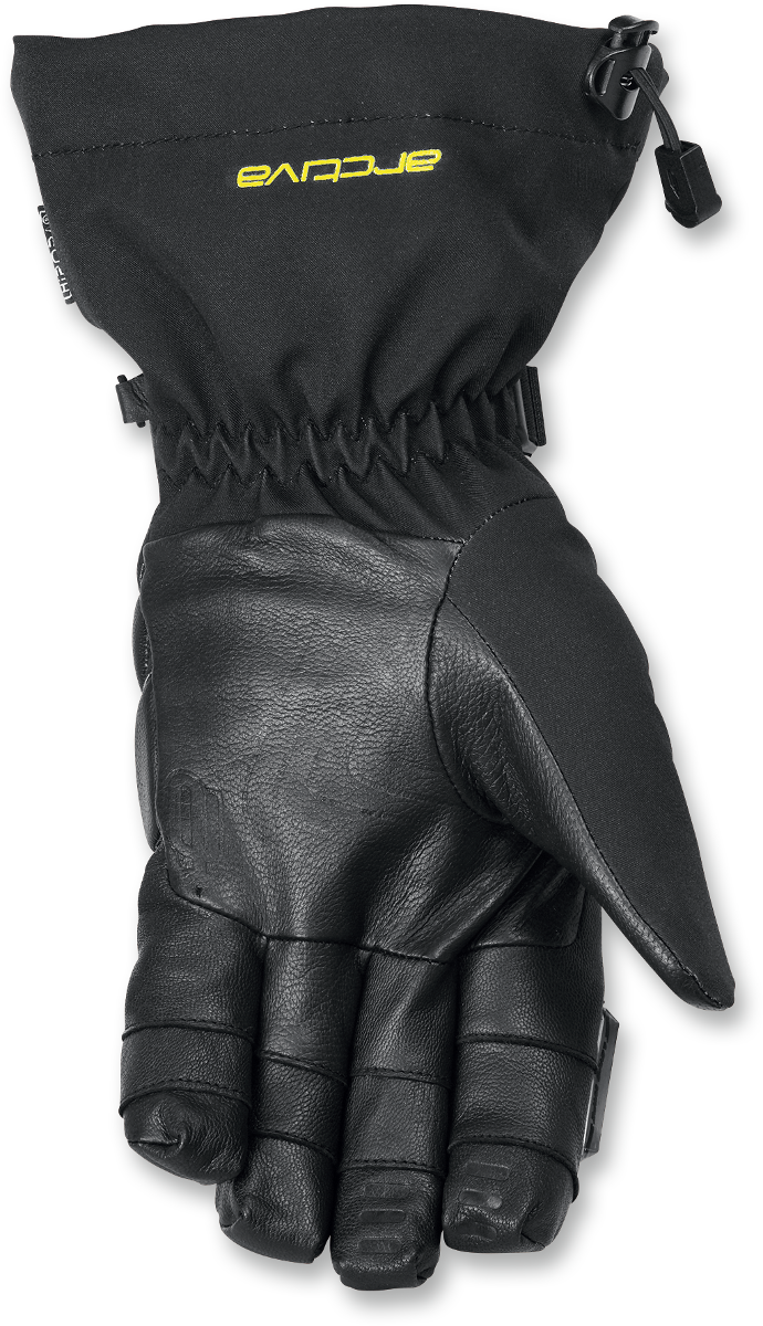 Arctiva Meridian Gloves