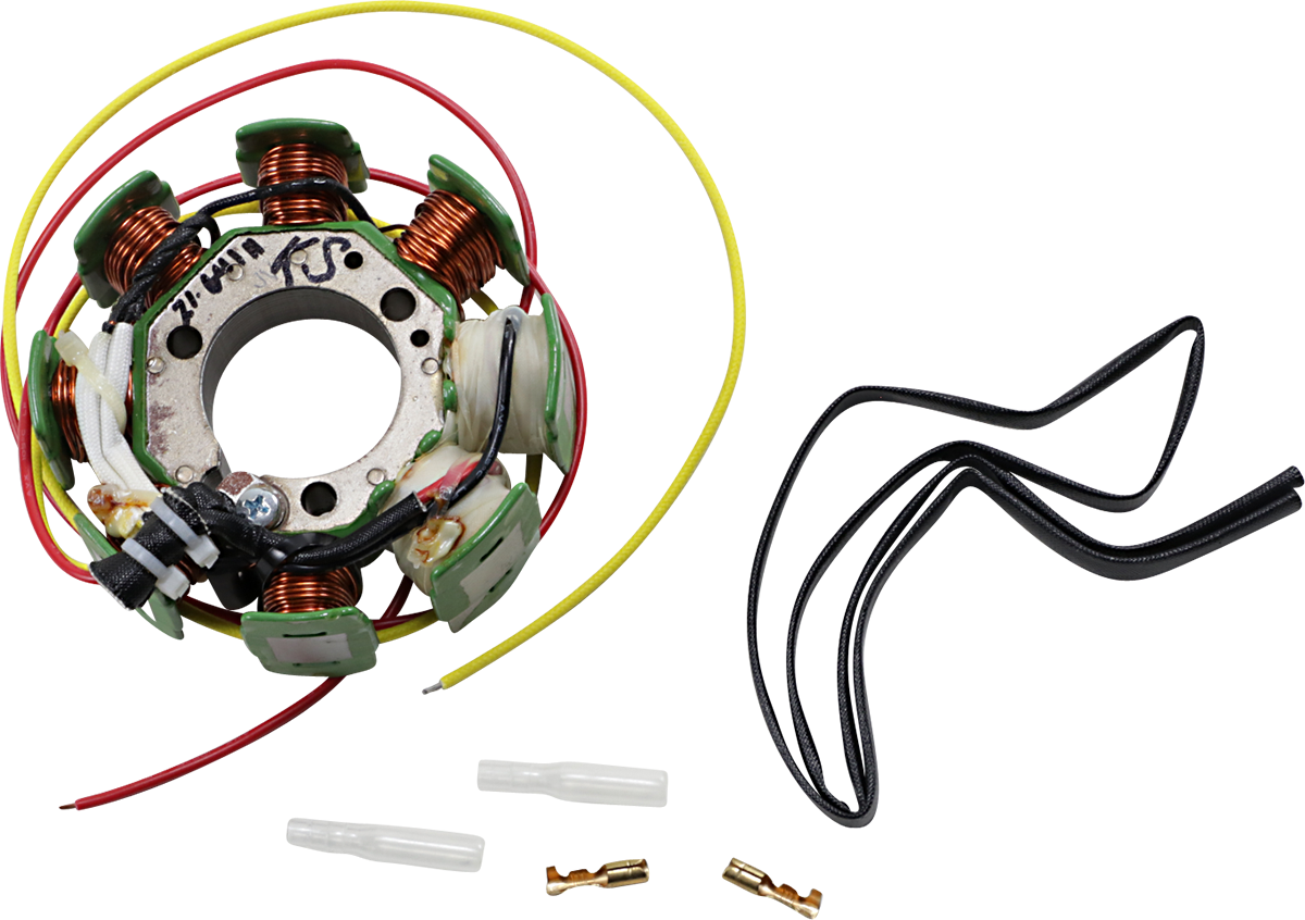 Rick's Motorsport Electric OEM Style Stator