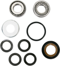 Pivot Works Steering Stem Bearing Kit