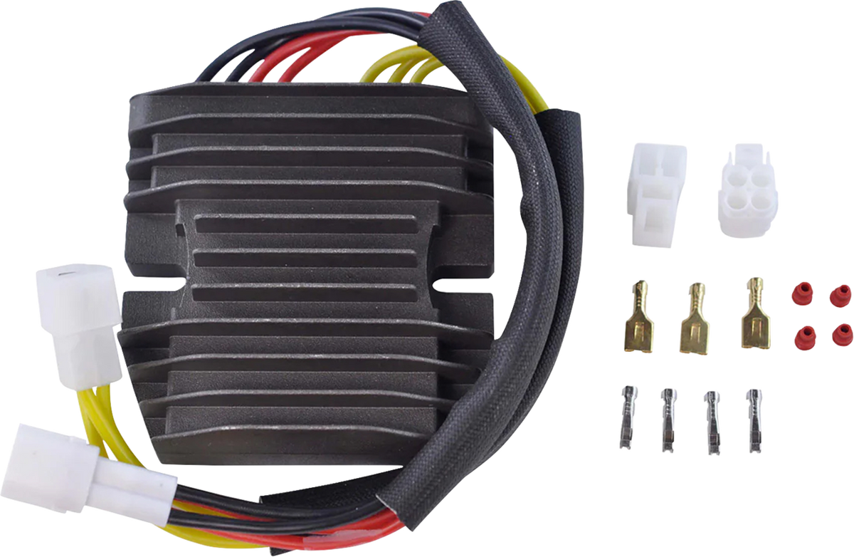 Rm Stator Charging Kit