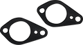 James Gasket Cam Chain Tensioner Gasket