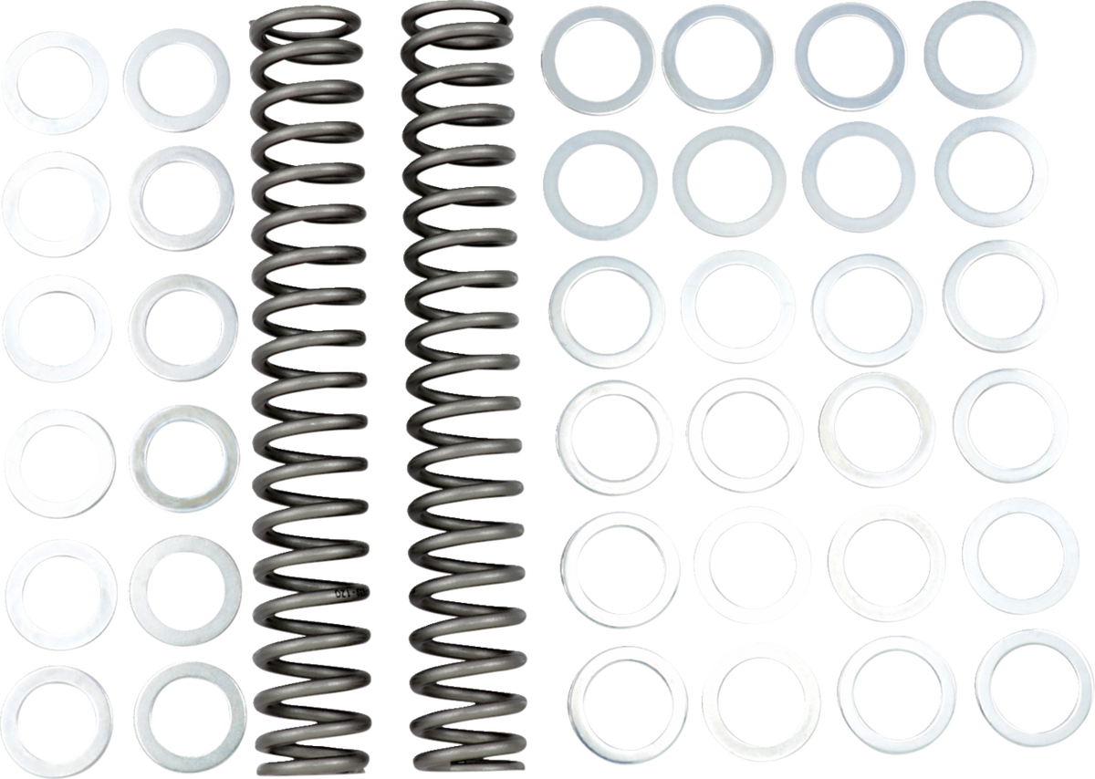 Race Tech Fork Springs — 67.20 lb/in