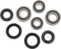 Pivot Works Wheel Bearing Kit