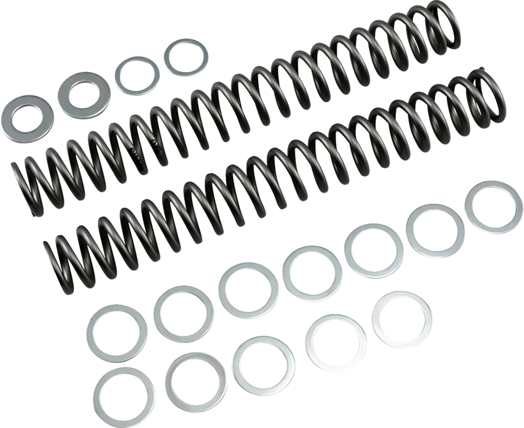 Race Tech Fork Springs — 67.20 lb/in